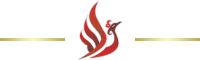 Icon đánh giá