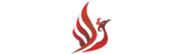 Icon tại sao